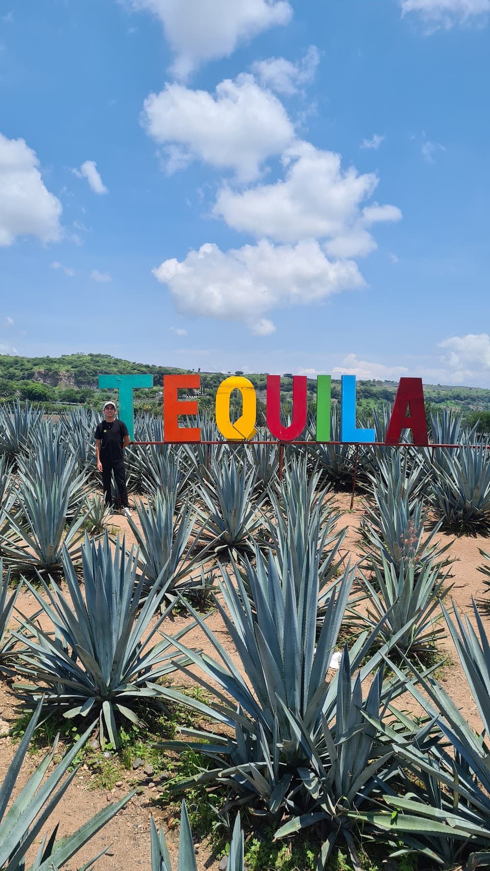 Tequila