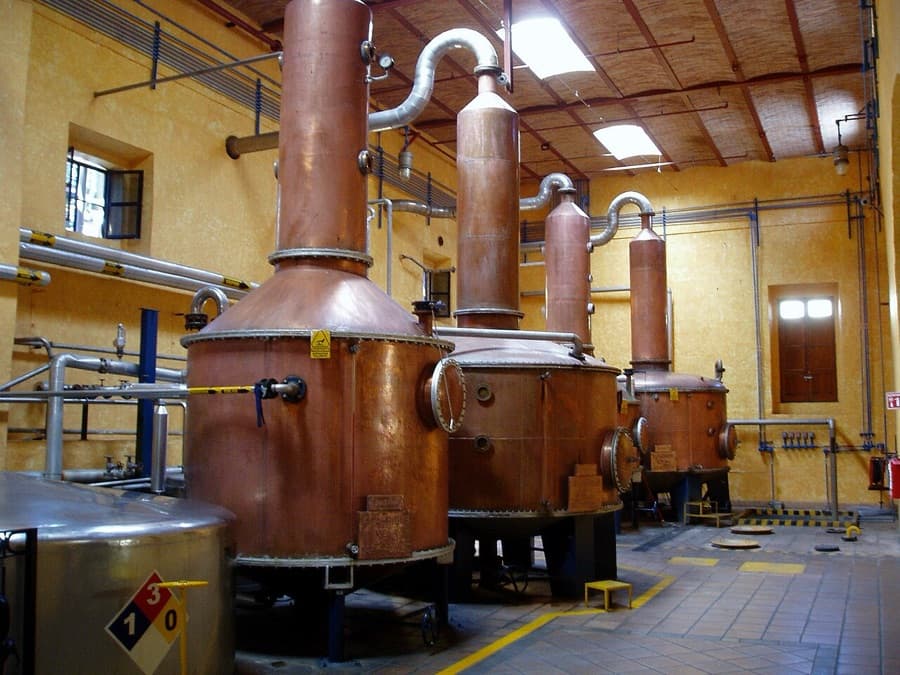 José Cuervo Express