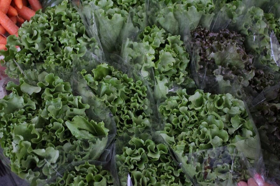 Mercado Corona