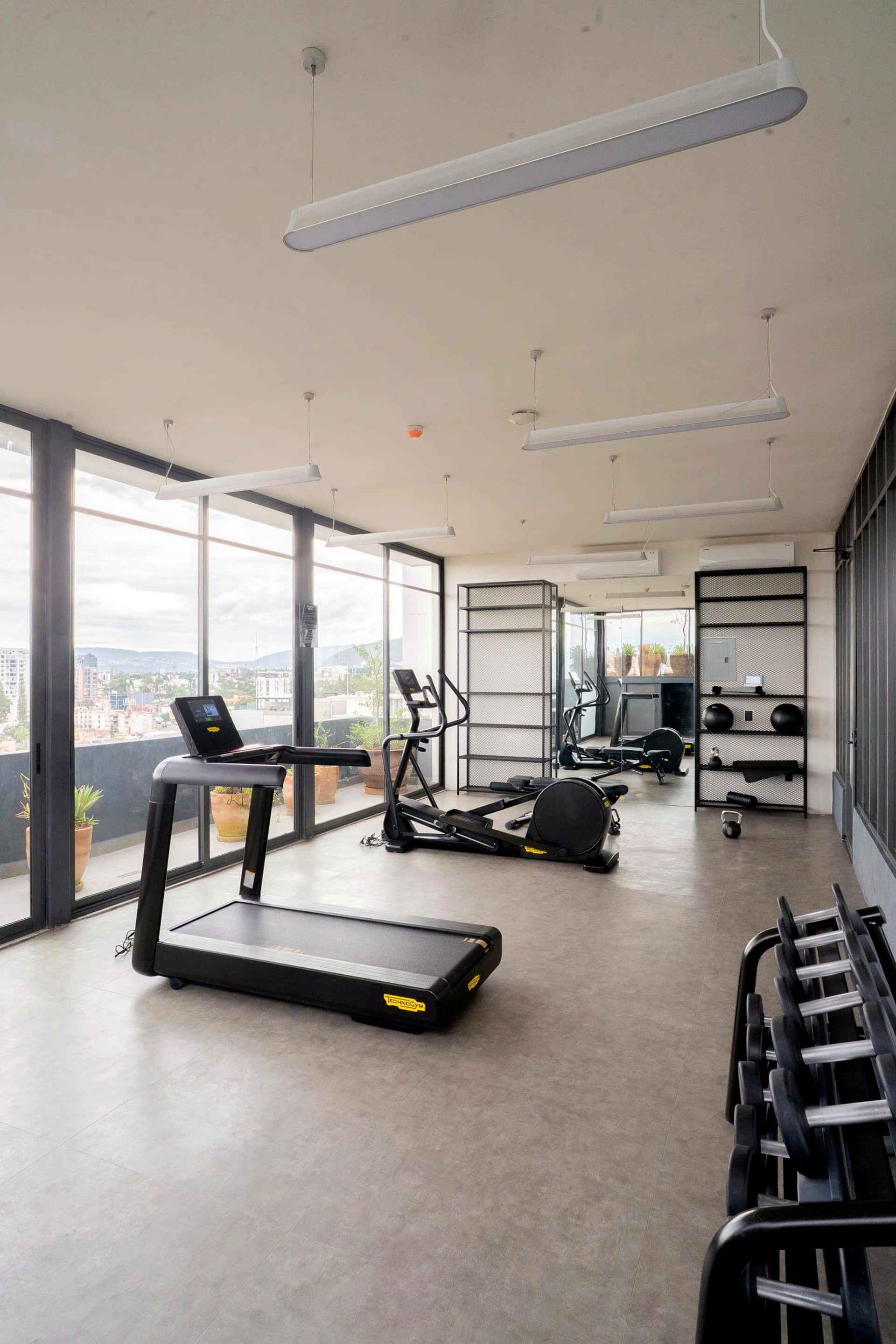 Livify 706 — Gimnasio