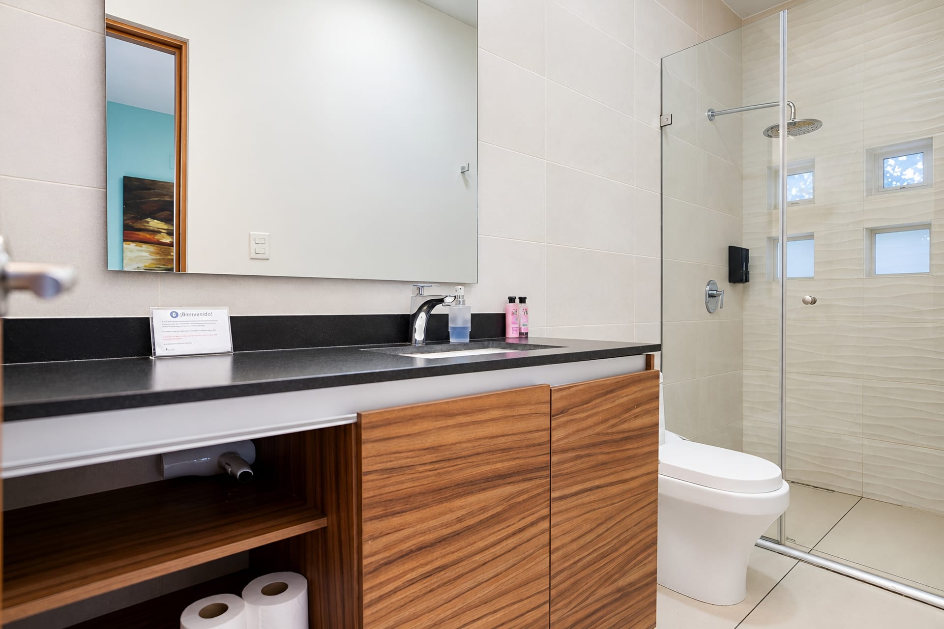 Ramos Millán 302 — Baño